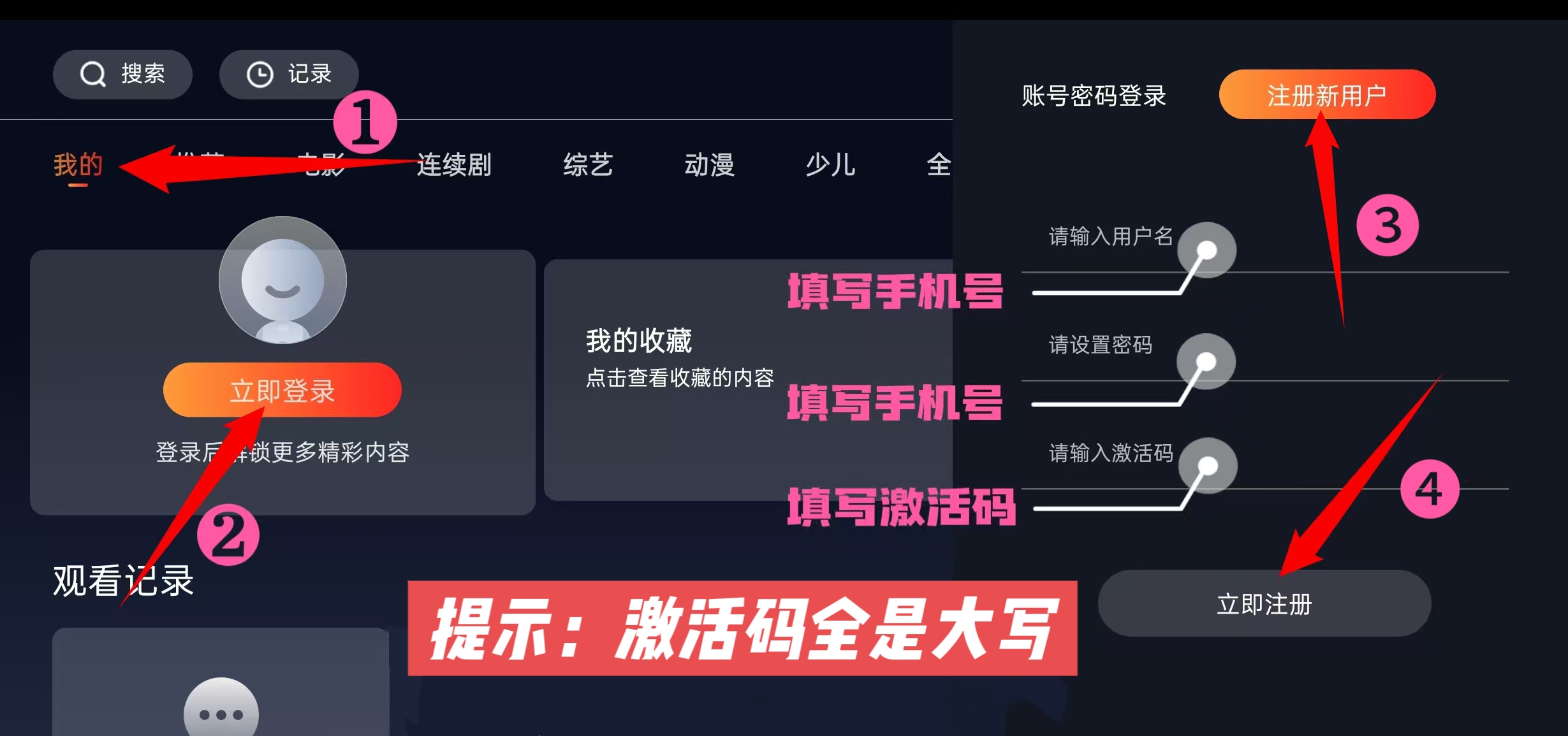 插入的图片